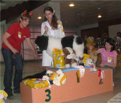 Фотография № 27772