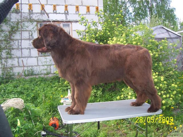 Фотография № 27913