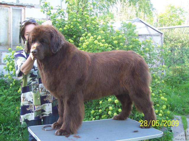 Фотография № 27915