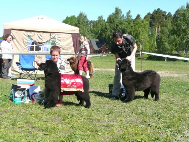 Фотография № 27921