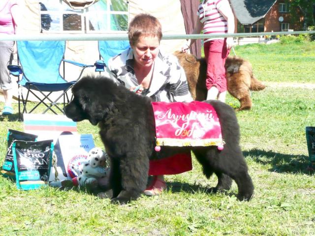 Фотография № 27922