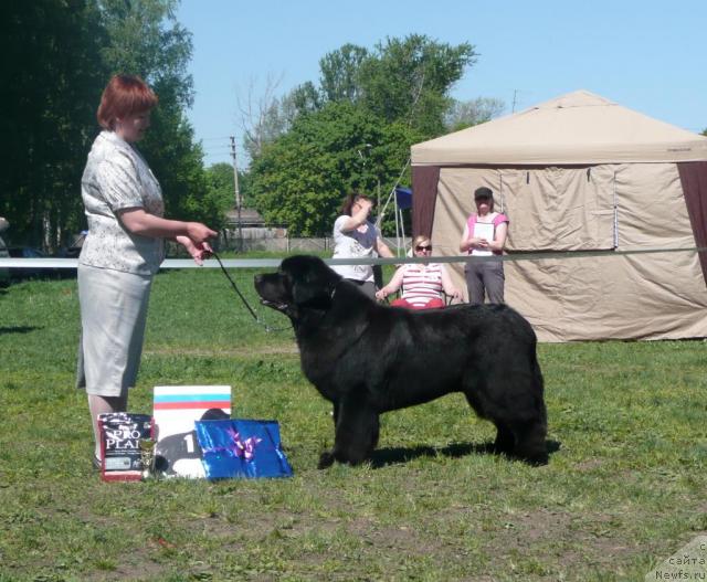 Фотография № 27933