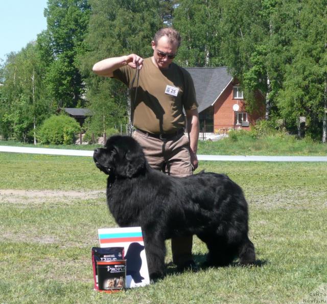 Фотография № 27944