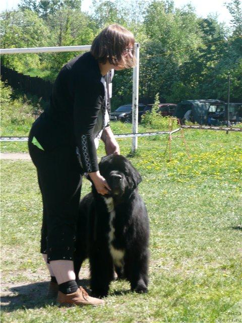 Фотография № 27948