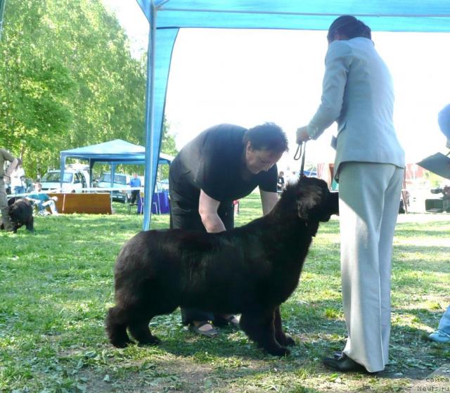 Фотография № 27951