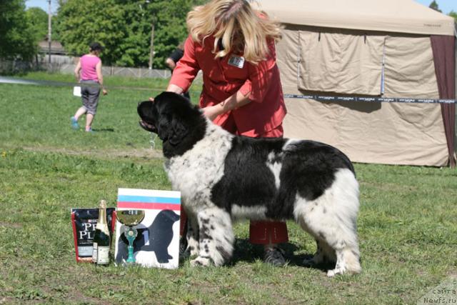 Фотография № 27969