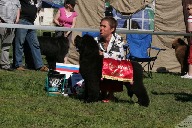 Фотография № 27974