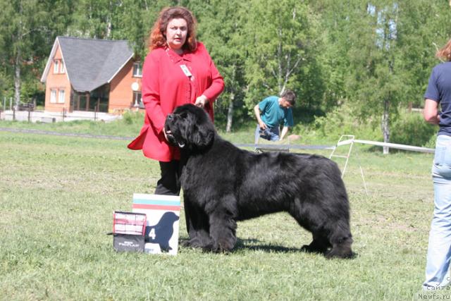 Фотография № 27977