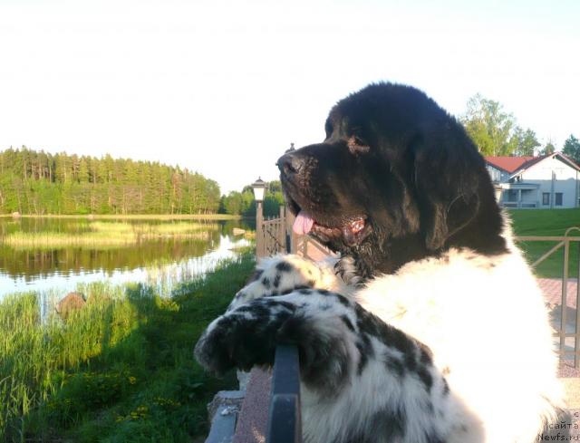 Фотография № 27980