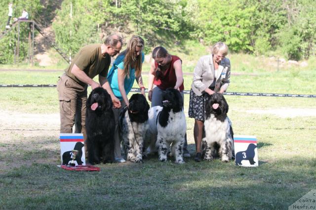 Фотография № 27985