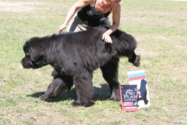 Фотография № 27990