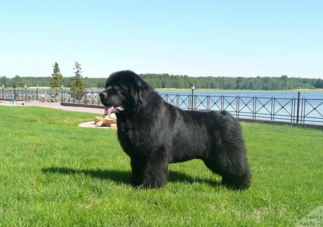 Фотография № 27991