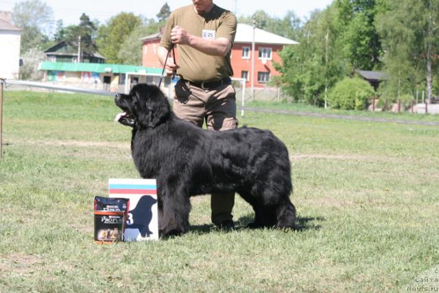 Фотография № 27992