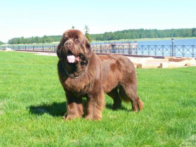 Фотография № 27994