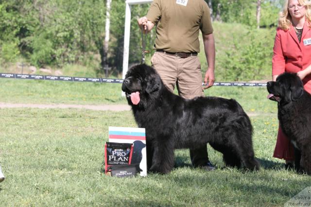 Фотография № 27999