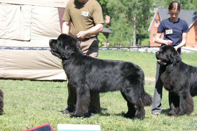 Фотография № 28002