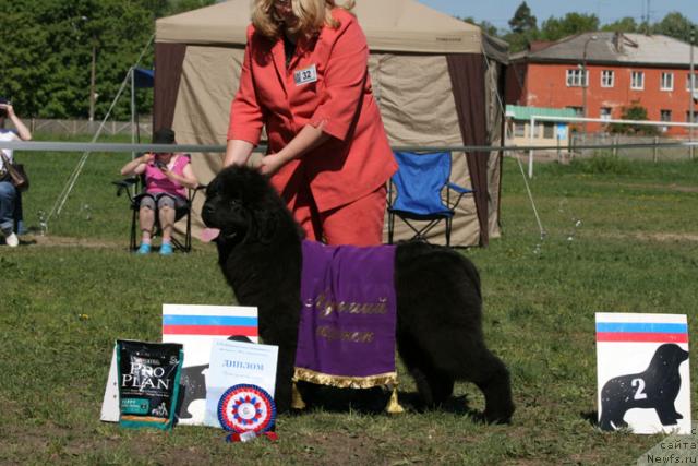 Фотография № 28007