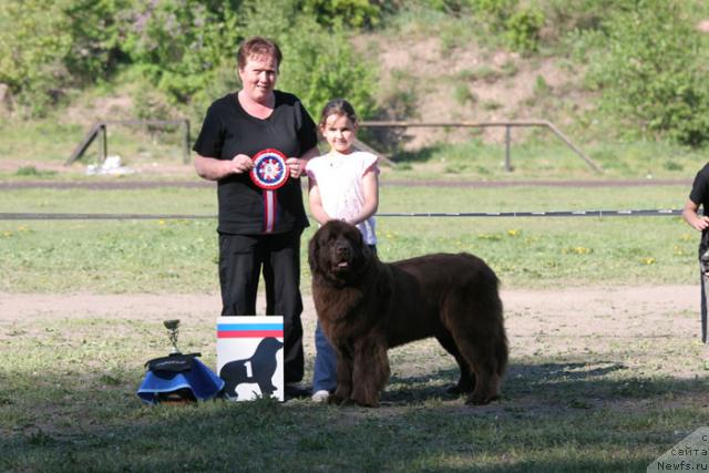 Фотография № 28008