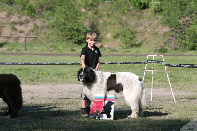 Фотография № 28009