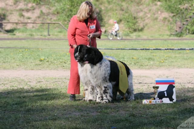 Фотография № 28010