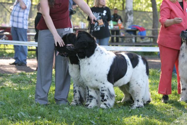 Фотография № 28011