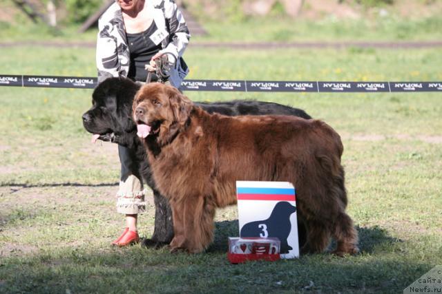 Фотография № 28012