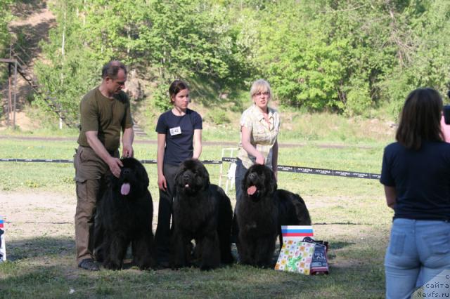 Фотография № 28013