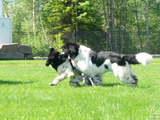 Фотография № 28019