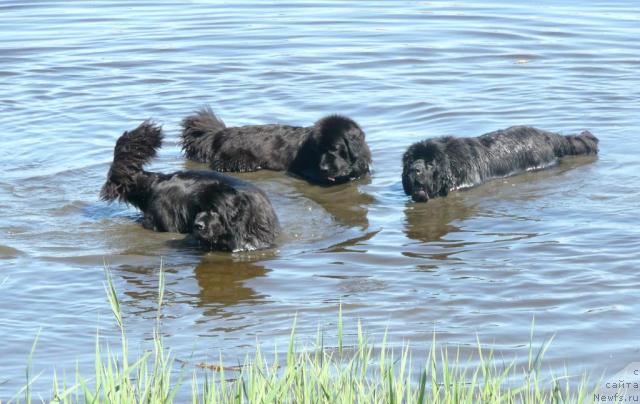 Фотография № 28021