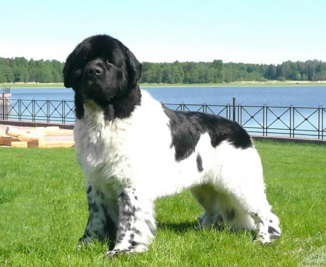 Фотография № 28023