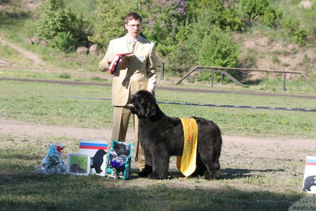 Фотография № 28026