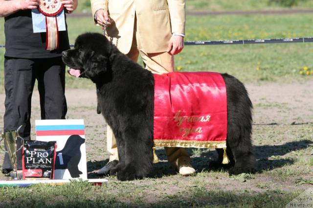 Фотография № 28027