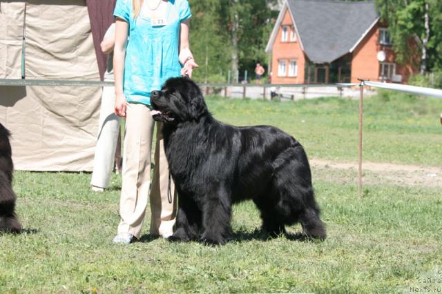 Фотография № 28029