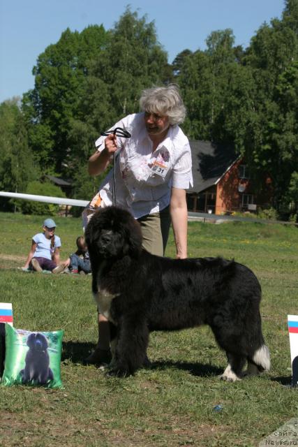 Фотография № 28033