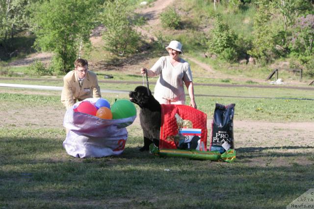 Фотография № 28036