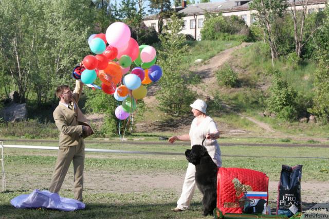 Фотография № 28037