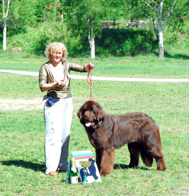 Фото: ньюфаундленд Do Sing With Deejay de L'Etoile de Cyrice