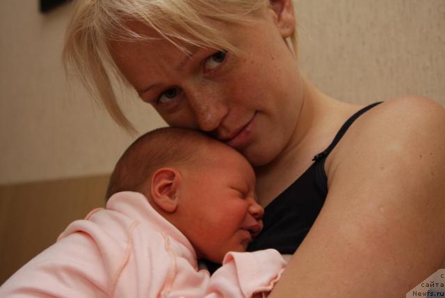 Фотография № 28096