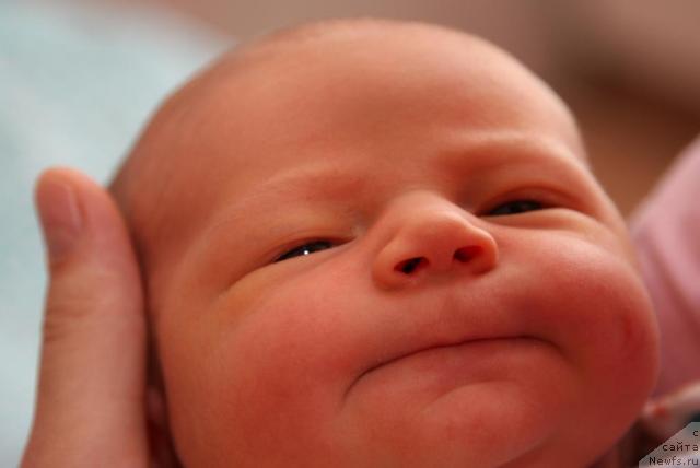 Фотография № 28097