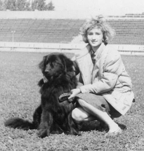 Фото: ньюфаундленд Klemenc Kricial' (Клеменц Крициаль)