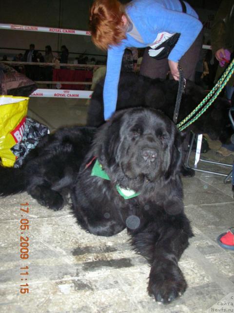 Фотография № 28110