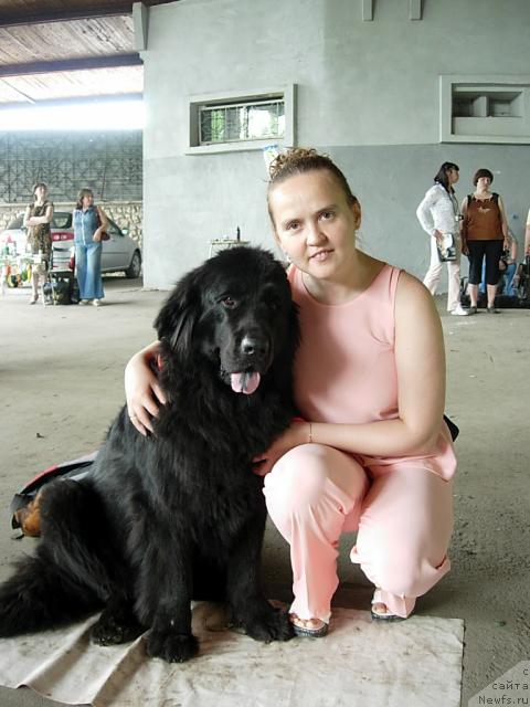 Фото: ньюфаундленд Lesnaya Skazka Raskrasavica (Лесная Сказка Раскрасавица), Diana Larina (Диана Ларина)