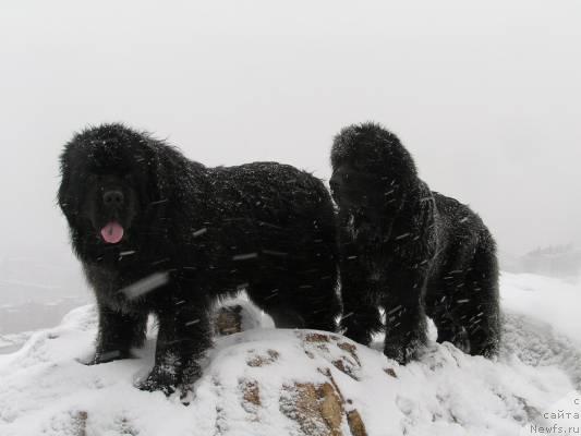 Фотография № 2815