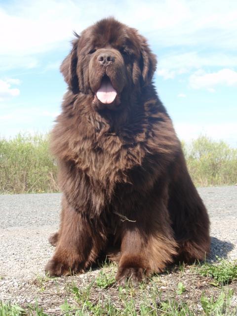 Фотография № 28168