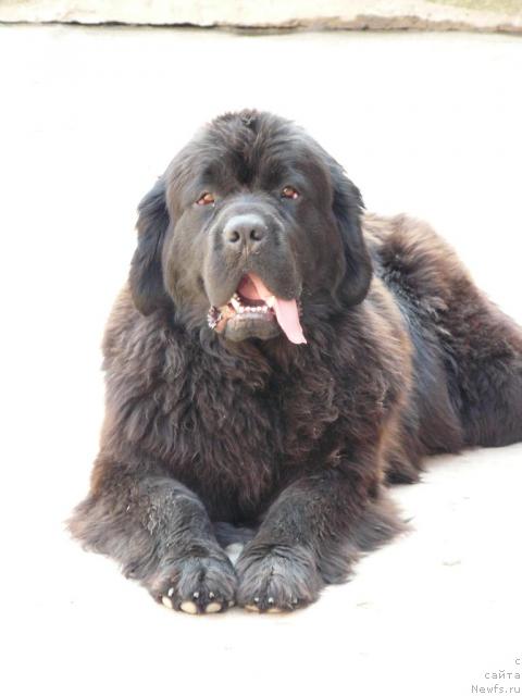 Фотография № 28236