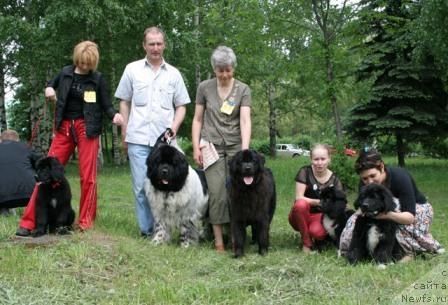 Фотография № 28238