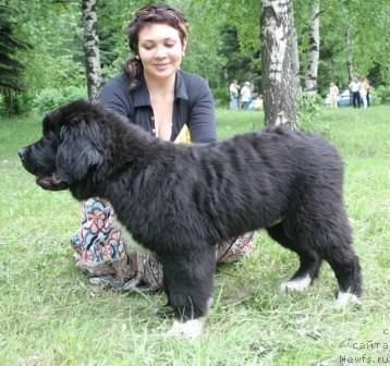 Фото: Оскар Супер Эксклюзив, Пенкина Александра