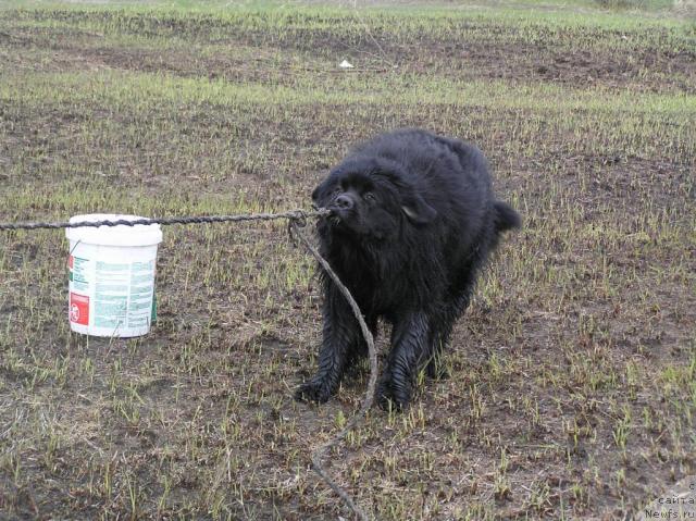 Фотография № 28274