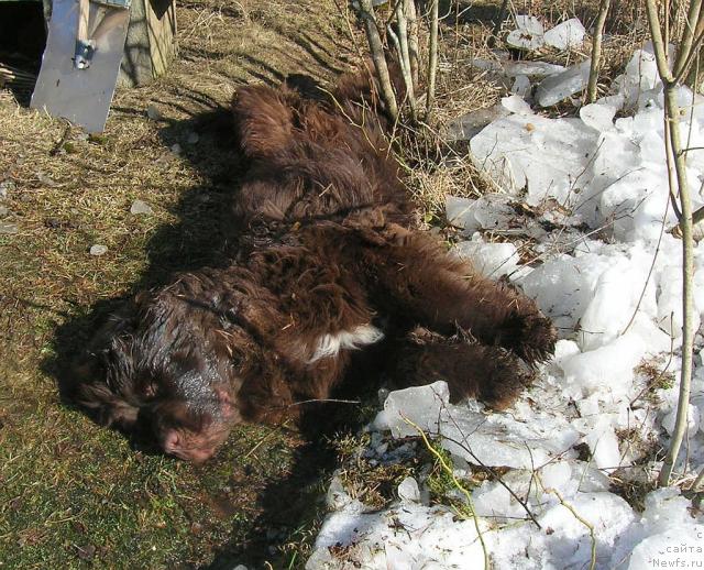 Фотография № 28299