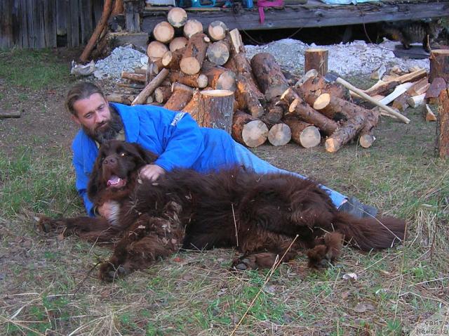 Фото: ньюфаундленд Do Sing With Deejay de L'Etoile de Cyrice, Aleksandr Jakov (Александр Жаков)
